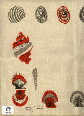 shell1